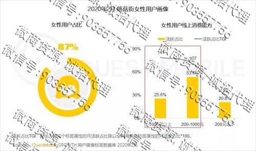 女性用户已成电商主力军,规模增长至4.46亿(图7)